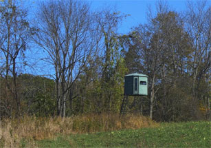 Hunting Tree Stand